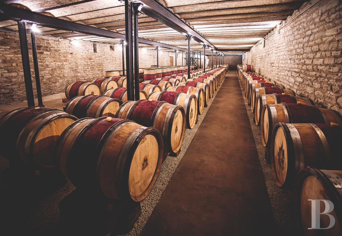 En Bourgogne, à Beaune, un château de la Belle Époque au milieu de ses huit hectares de vignes - photo  n°39